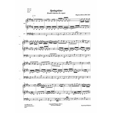 Springtime Rondo-Scherzo for organ / Magnus Kilve'n